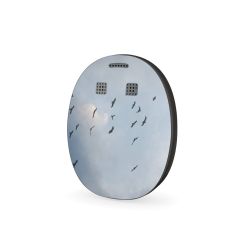 Foils for Other Devices matt