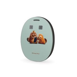 Folier Andra Enheter matt