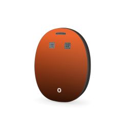 Folier Andra Enheter matt