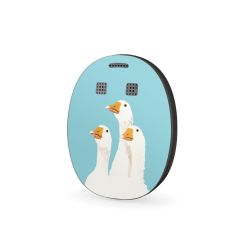 Folier Andra Enheter matt