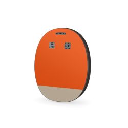 Folier Andra Enheter matt