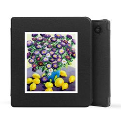 E-Reader Smart Case schwarz
