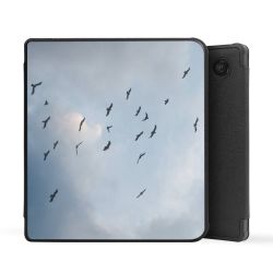 E-Reader Smart Case schwarz