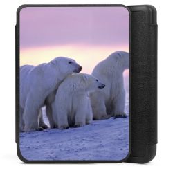 E-Reader Smart Case schwarz