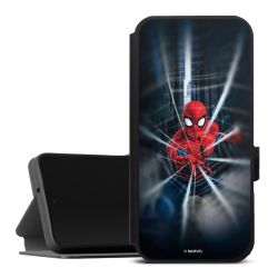 Toile Spider-Man