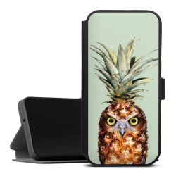 Pineapple Owl