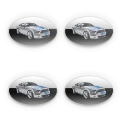 Sticker Set oval