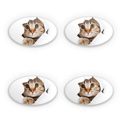 Sticker Set oval