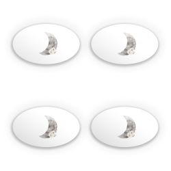 Sticker Set oval