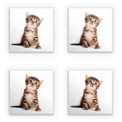 Sticker Set square