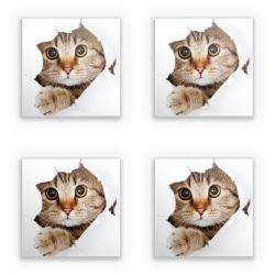 Sticker Set square