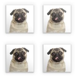 Sticker Set square