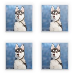 Sticker Set square