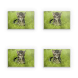 Sticker Set rectangle