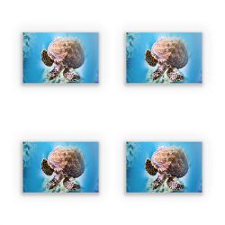 Sticker Set rectangle