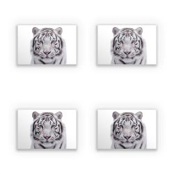 Sticker Set rectangle