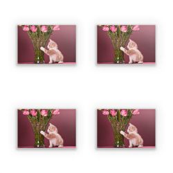 Sticker Set rectangle