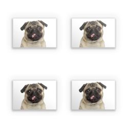 Sticker Set rectangle