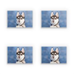 Sticker Set rectangle