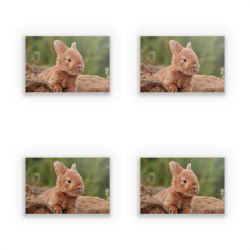 Sticker Set rectangle