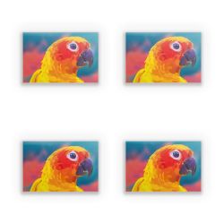 Sticker Set rectangle