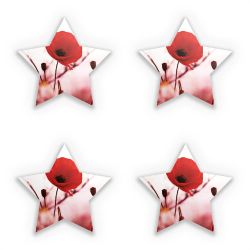 Sticker Set star