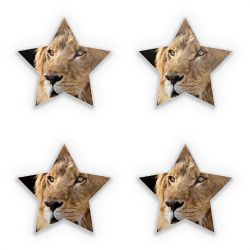 Sticker Set star