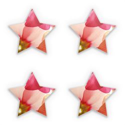 Sticker Set star