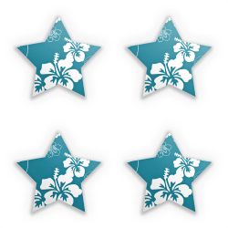 Sticker Set star