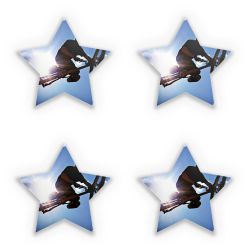 Sticker Set star