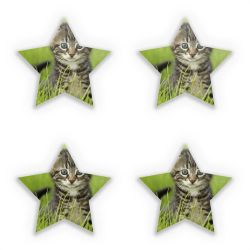 Sticker Set star