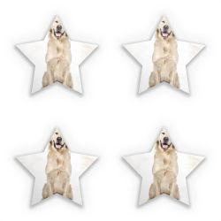 Sticker Set star