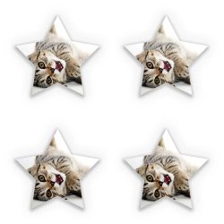 Sticker Set star