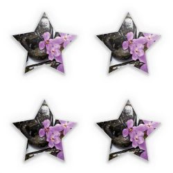 Sticker Set star