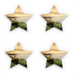 Sticker Set star