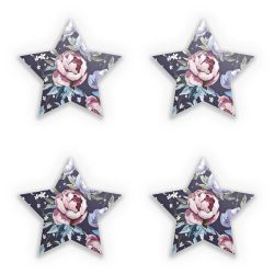 Sticker Set star