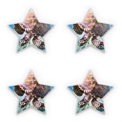 Sticker Set star