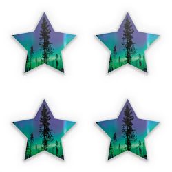 Sticker Set star