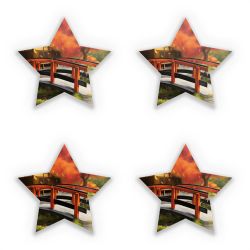 Sticker Set star