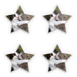 Sticker Set star