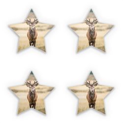 Sticker Set star