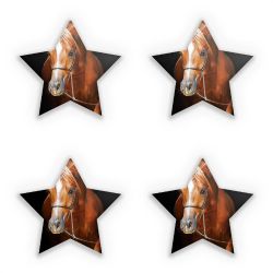 Sticker Set star