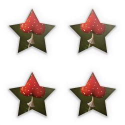 Sticker Set star