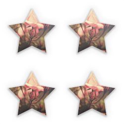 Sticker Set star