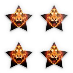 Sticker Set star