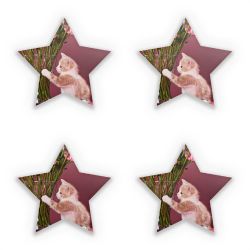 Sticker Set star