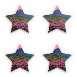 Sticker Set star