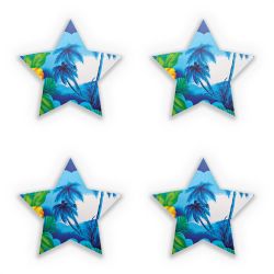 Sticker Set star