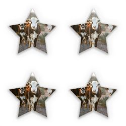 Sticker Set star