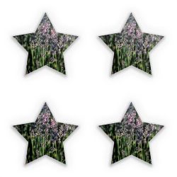 Sticker Set star